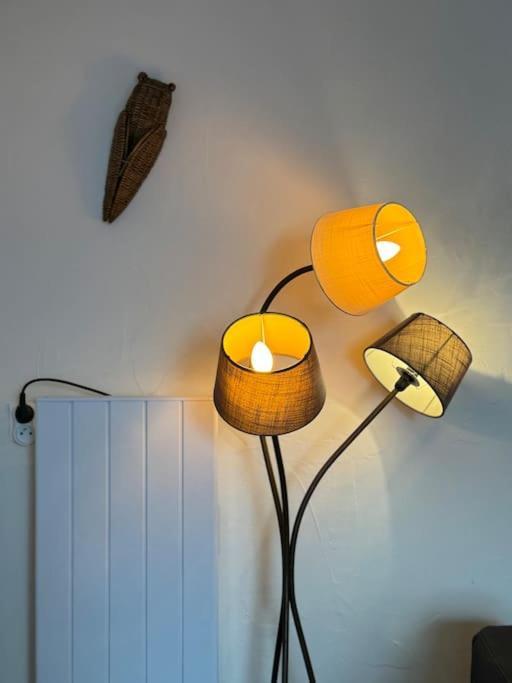 Appartement De Plain-Pied Avec Jardin Avignone Esterno foto