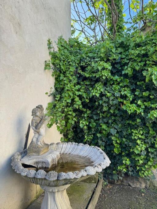 Appartement De Plain-Pied Avec Jardin Avignone Esterno foto