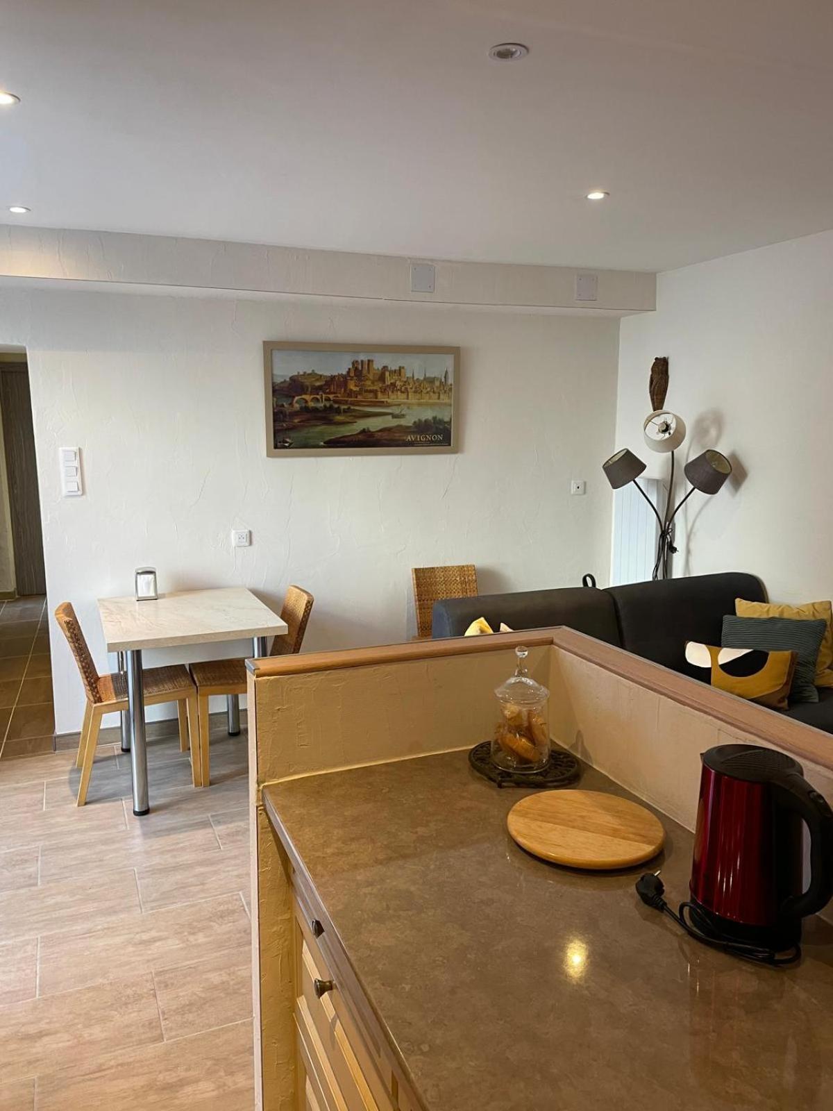 Appartement De Plain-Pied Avec Jardin Avignone Esterno foto